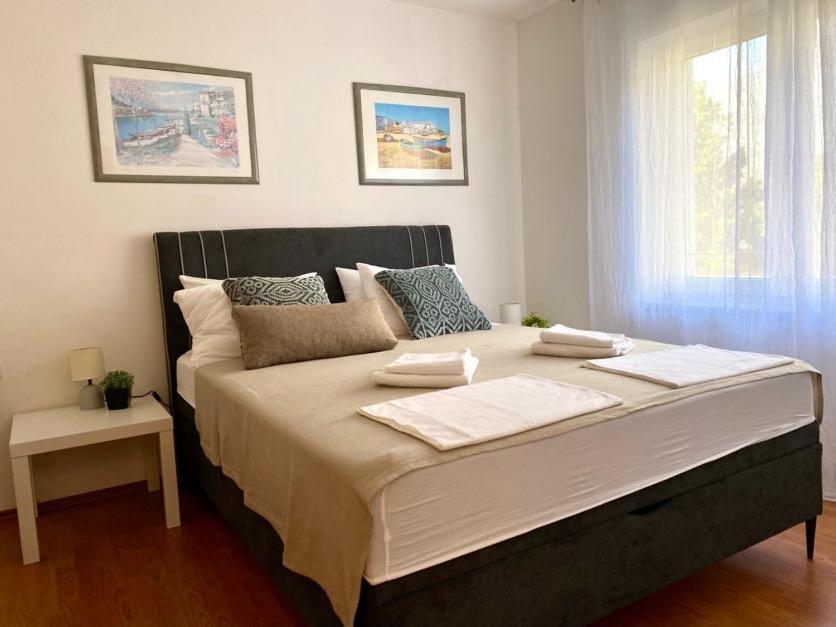Villa Mihaela - Apartment Ika 策萨利卡 外观 照片