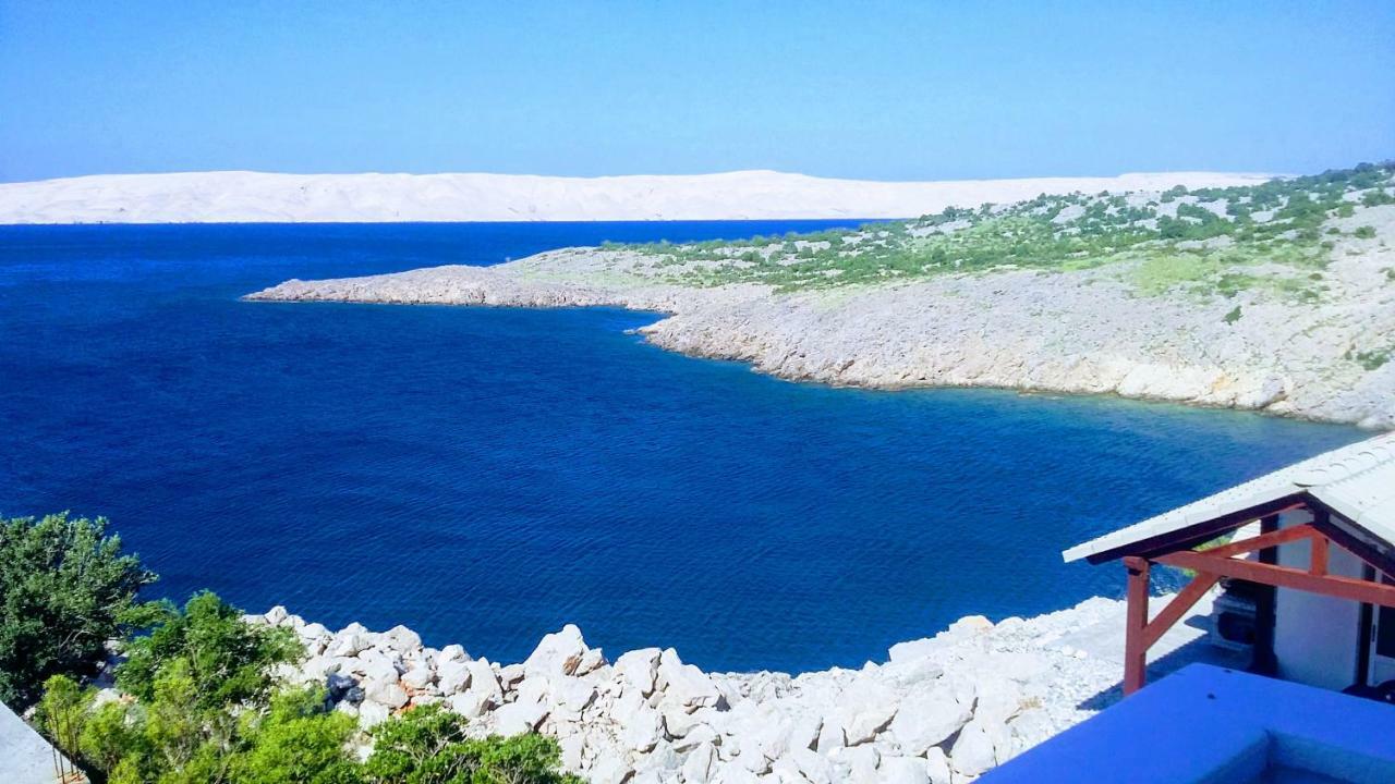 Villa Mihaela - Apartment Ika 策萨利卡 外观 照片