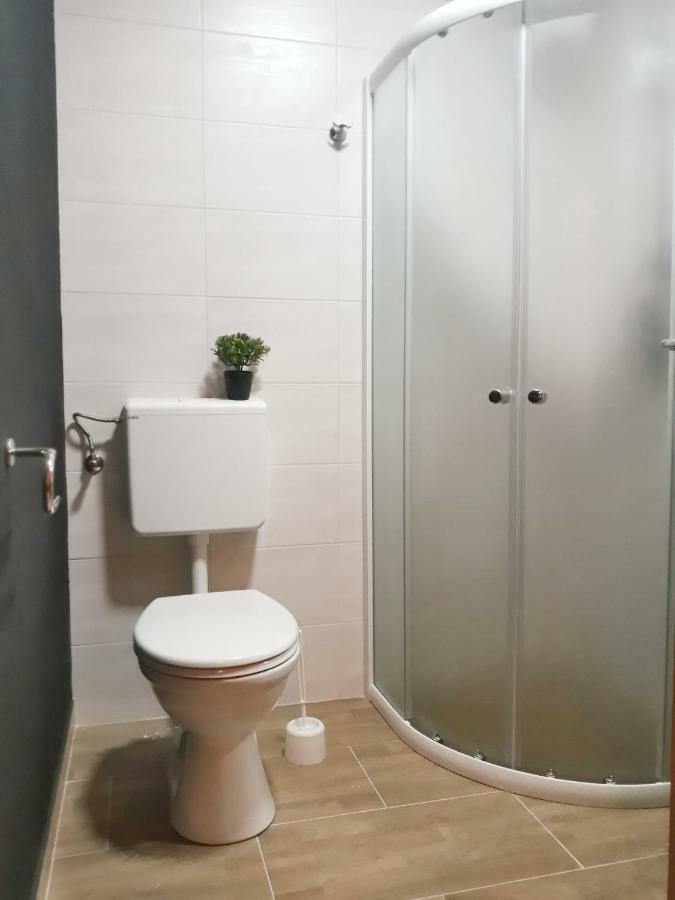Villa Mihaela - Apartment Ika 策萨利卡 外观 照片