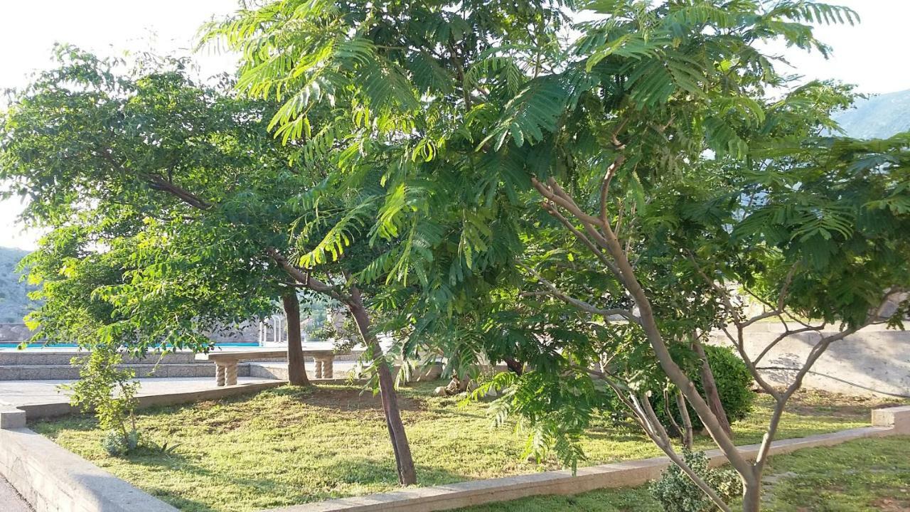 Villa Mihaela - Apartment Ika 策萨利卡 外观 照片